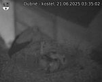 Capi_Dubne_20250621_033502.jpg