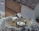 Capi_Dubne_20250621_150503.jpg