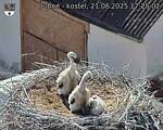 Capi_Dubne_20250621_172502.jpg
