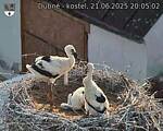 Capi_Dubne_20250621_200502.jpg