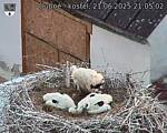 Capi_Dubne_20250621_210502.jpg