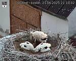 Capi_Dubne_20250621_211002.jpg
