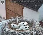 Capi_Dubne_20250621_212503.jpg