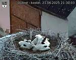 Capi_Dubne_20250621_213003.jpg