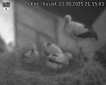 Capi_Dubne_20250621_215503.jpg