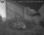 Capi_Dubne_20250621_220002.jpg