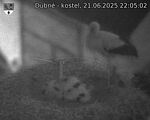 Capi_Dubne_20250621_220502.jpg