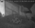 Capi_Dubne_20250621_221003.jpg