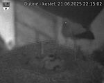 Capi_Dubne_20250621_221502.jpg