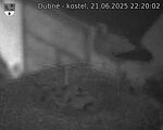 Capi_Dubne_20250621_222003.jpg
