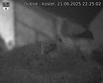 Capi_Dubne_20250621_222502.jpg