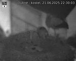 Capi_Dubne_20250621_223003.jpg