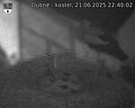 Capi_Dubne_20250621_224002.jpg
