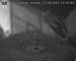 Capi_Dubne_20250621_224503.jpg