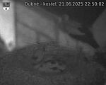 Capi_Dubne_20250621_225003.jpg