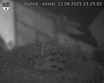 Capi_Dubne_20250621_232502.jpg
