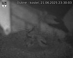 Capi_Dubne_20250621_233003.jpg