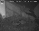 Capi_Dubne_20250621_233503.jpg