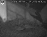 Capi_Dubne_20250621_234002.jpg