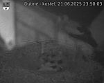 Capi_Dubne_20250621_235003.jpg