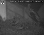 Capi_Dubne_20250622_001503.jpg
