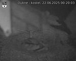 Capi_Dubne_20250622_002003.jpg