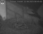 Capi_Dubne_20250622_004502.jpg