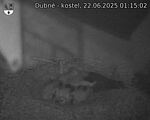Capi_Dubne_20250622_011502.jpg