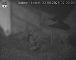 Capi_Dubne_20250622_020003.jpg