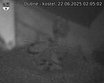 Capi_Dubne_20250622_020502.jpg