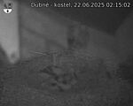 Capi_Dubne_20250622_021502.jpg