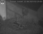 Capi_Dubne_20250622_022503.jpg