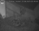 Capi_Dubne_20250622_024502.jpg