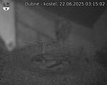 Capi_Dubne_20250622_031502.jpg