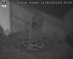 Capi_Dubne_20250622_033003.jpg