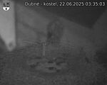 Capi_Dubne_20250622_033503.jpg