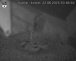 Capi_Dubne_20250622_034002.jpg