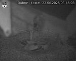 Capi_Dubne_20250622_034503.jpg