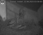 Capi_Dubne_20250622_035003.jpg