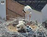 Capi_Dubne_20250622_180503.jpg