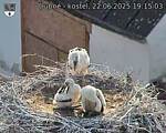 Capi_Dubne_20250622_191503.jpg