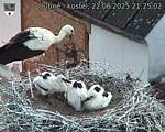 Capi_Dubne_20250622_212502.jpg