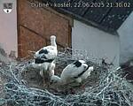 Capi_Dubne_20250622_213002.jpg