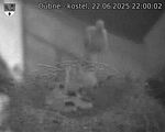 Capi_Dubne_20250622_220002.jpg