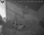 Capi_Dubne_20250622_223002.jpg