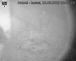 Capi_Dubne_20250623_001003.jpg