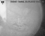Capi_Dubne_20250623_002502.jpg