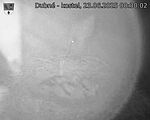 Capi_Dubne_20250623_003002.jpg