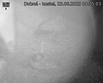 Capi_Dubne_20250623_003503.jpg