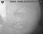 Capi_Dubne_20250623_004502.jpg